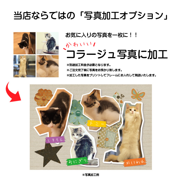 中に入れる写真のデザインもお任せ下さい！